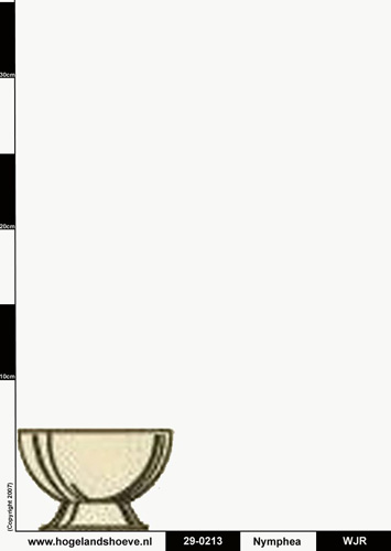 29-4 vase nymphea