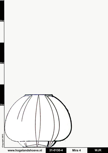 31-4 vase mira -0130-4