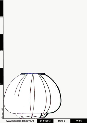 31-4 vase mira 0130-3