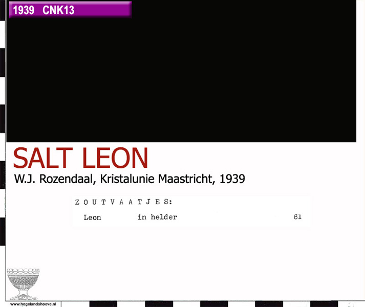 39-93 salt leon